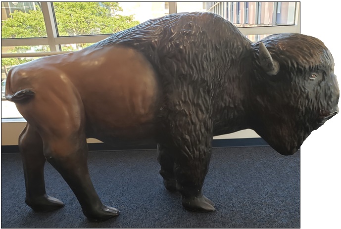 Iron statue of a buffalo named Molly.