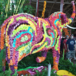 An elephant made of roses.